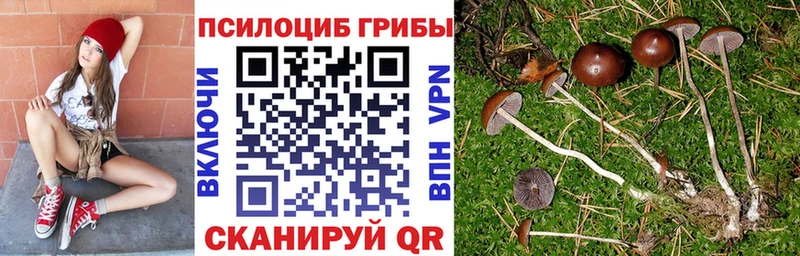 Галлюциногенные грибы ЛСД  Соль-Илецк 