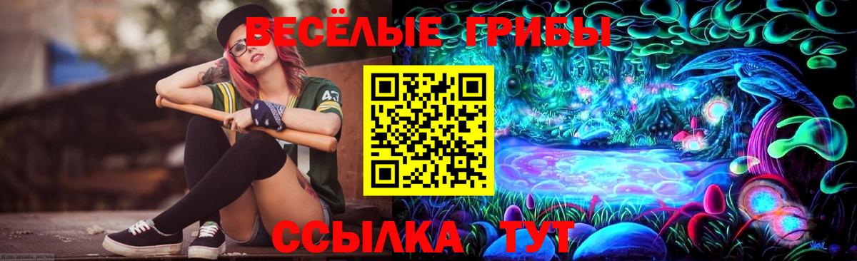 Соль-Илецк  Псилоцибиновые грибы Psilocybe  Вход с VPN  Галлюциногенные грибы прущие грибы 
