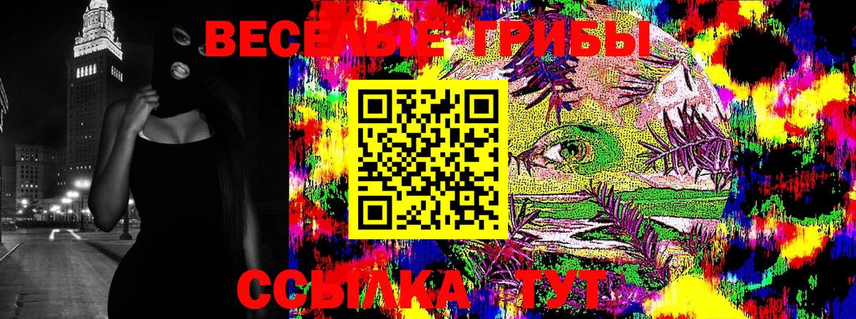 Галлюциногенные грибы Cubensis Соль-Илецк
